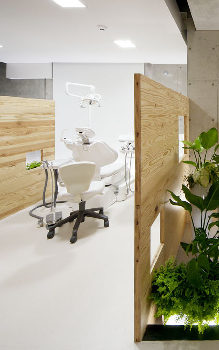 Portfolio Image
